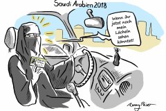 Saudi-Arabien-Fuehrerschein