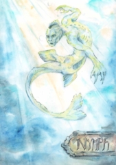 Nymph eine männliche Nympfe im Wasser