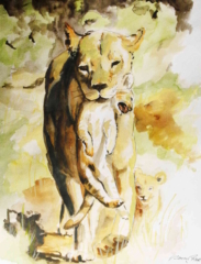 Löwin Farbillustration einer Löwin mit Kind