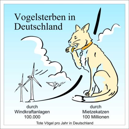 Ein Poster zum Vogelsterben mit Katze und Windrädern